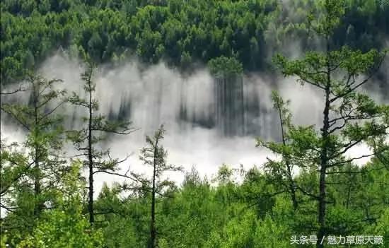 一座去了不想走的城市成都,一座去了还想去的城