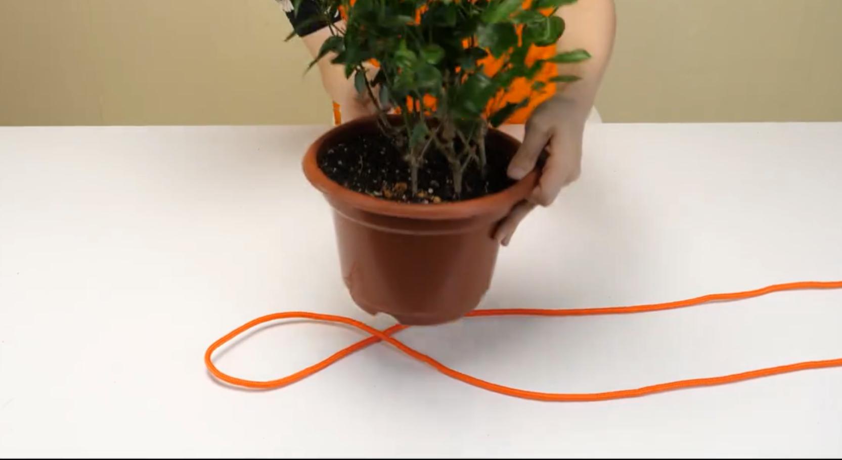 教你10种实用的绳子打结方法,用6根短绳打结成一根长绳需要30秒