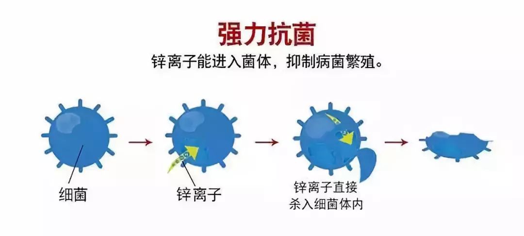 一秒变小蛮腰的衣服,秒变小蛮腰零基础
