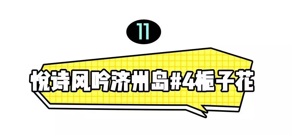 19香水,19岁百搭女生香水