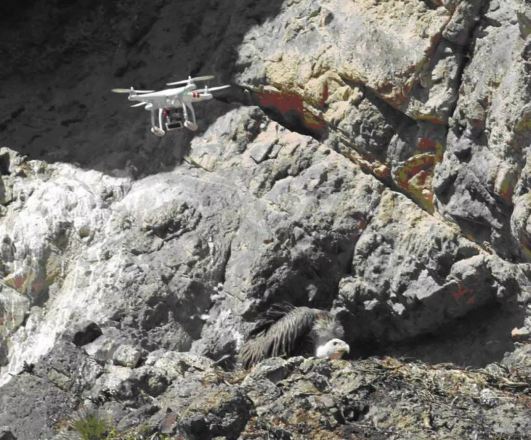 世界在听中国说,巴音郭楞经典故事