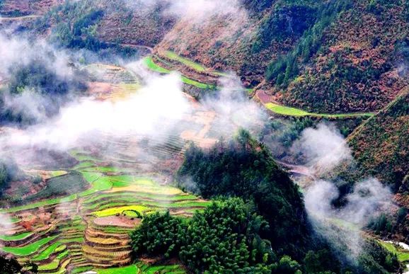 丽水遂昌市区,在丽水的遂昌