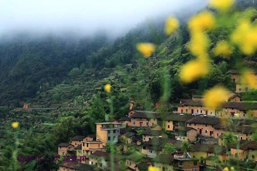 丽水遂昌市区,在丽水的遂昌