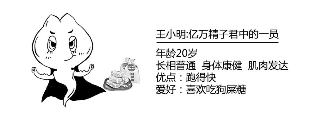 精子君追爱记|过五关斩六将,终抱得美人归