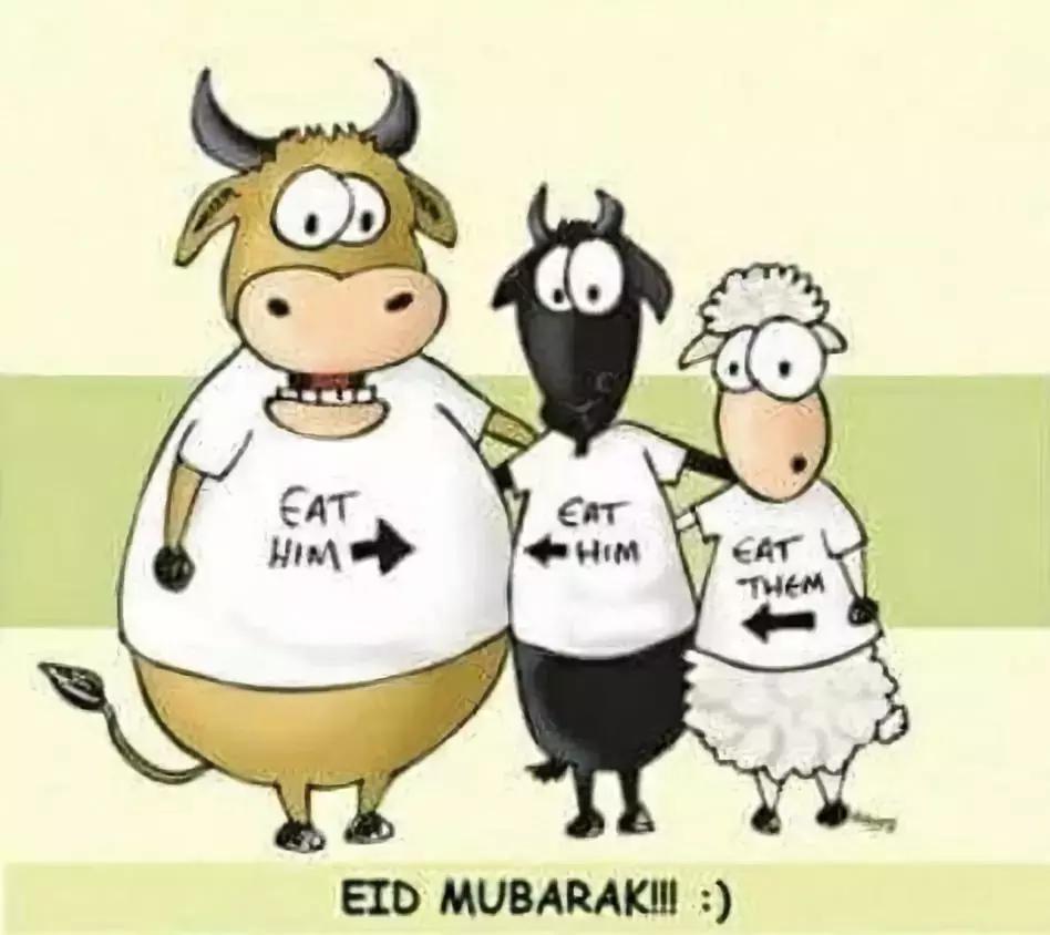 中东客人节日送祝福,中东客人的节日祝福