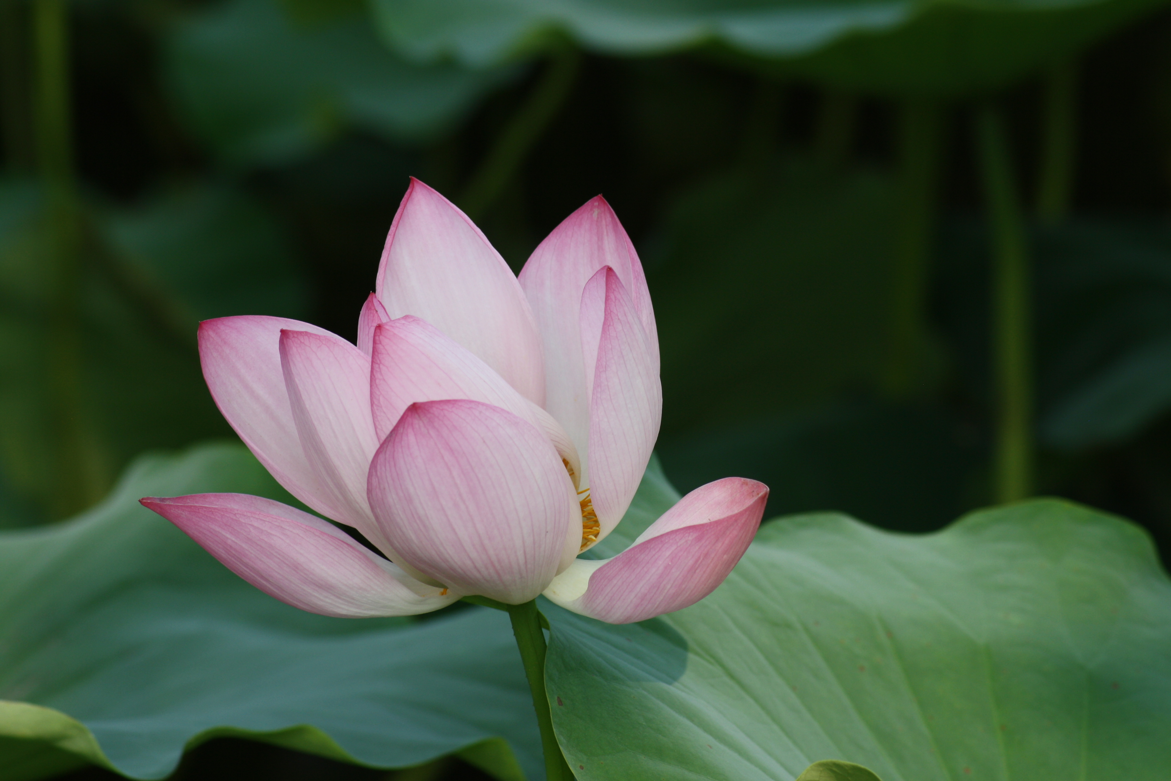 别人说自己干活老错怎么回复,雇人干活把活干错了咋办