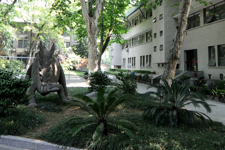 铁树开花为啥要一千年,铁树开花臭味相投