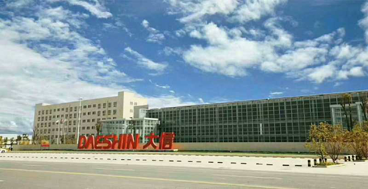 大信平民经济学，用智能化定制探索“低价优质”