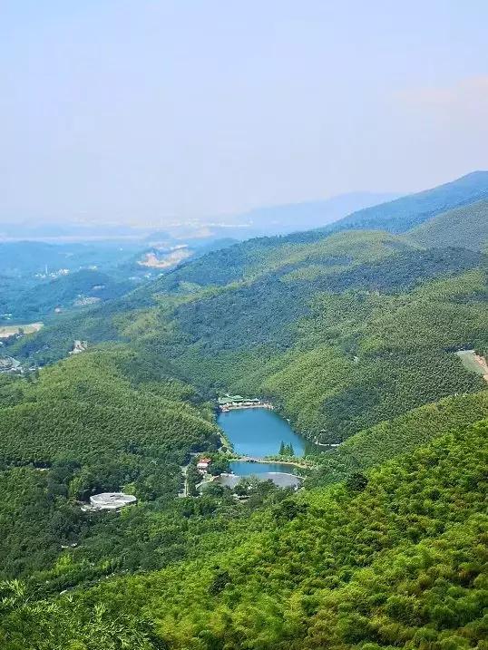 宜兴竹海吹起了一股简洁风,吹来了一波纯色壁纸~