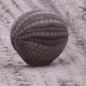 土耳其货币崩盘后怎么样了,土耳其货币崩盘买什么