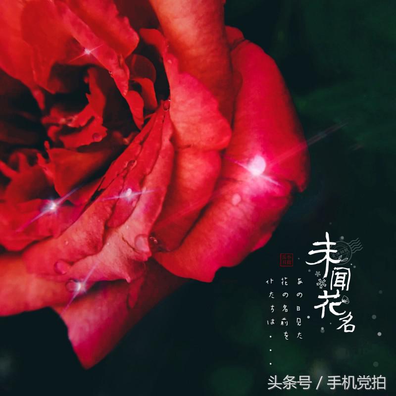 给图片上加印章,给图片加个好看文字