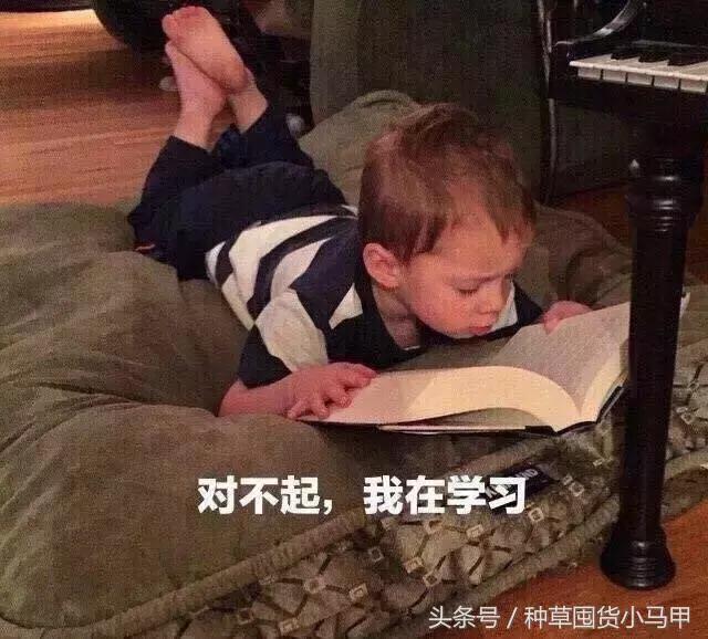 朋友圈代购图鉴,多的是你不知道的事!