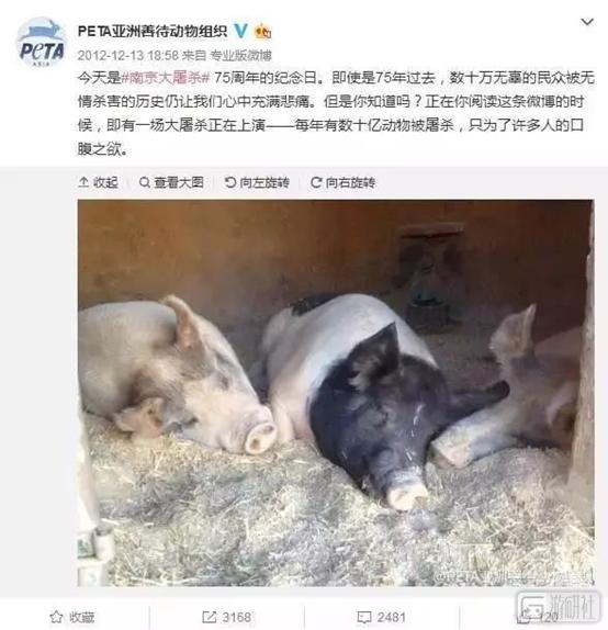 碰瓷电子游戏的同时,善待动物组织PETA正在不断壮大