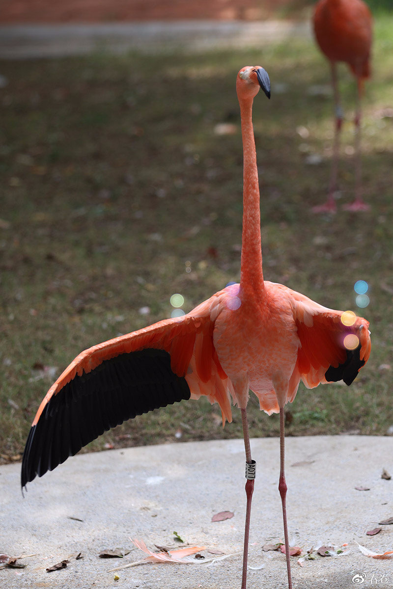 佳能人像风景原图直出参数,佳能复古风人像