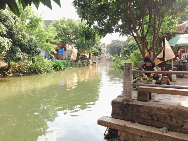 顺德逢简水乡出名小店,顺德逢简水乡属于哪个镇