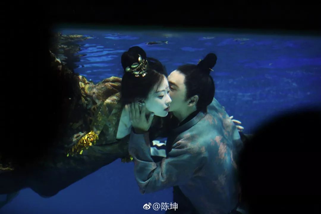 陈坤倪妮古装剧,陈坤评价倪妮电视剧