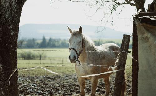 祝你身体健康美满幸福,祝你身体健康天天开心