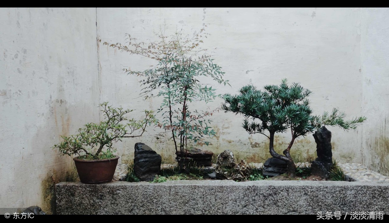 妙趣横生读音,妙趣横生的诗意