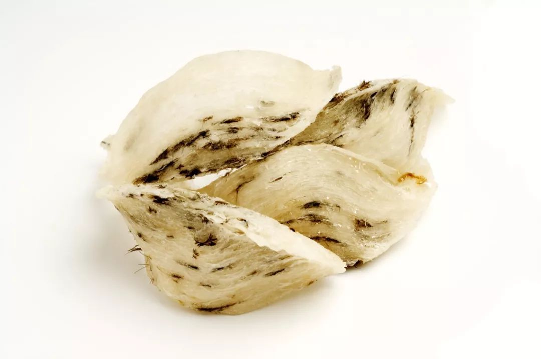 马来西亚毛燕出口中国,马来西亚进口燕窝毛燕