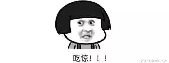 孕妇适合用的网红化妆品,孕妇致畸药物有哪些