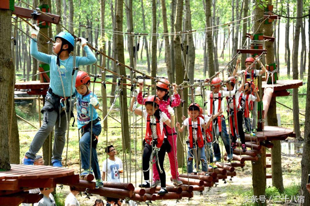 陈柏霖一个人的旅行,陈柏霖花少完整版视频