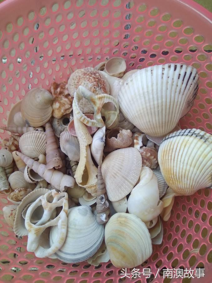 国庆去南澳岛旅游攻略,南澳岛赶海出海游玩攻略