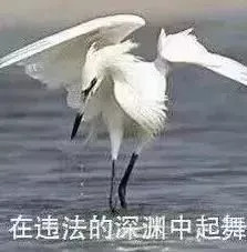 微信上发6个字被拘留,两个女生微信转发视频被拘留