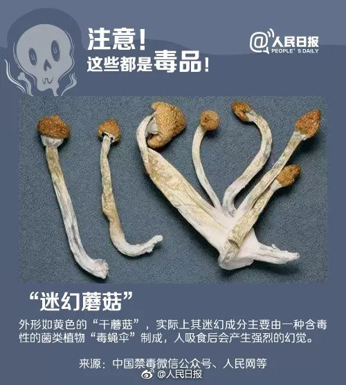 禁毒科普知识形形色色的毒品,禁毒百科感冒药与毒品