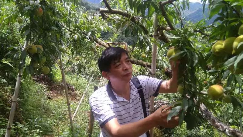 韶关曲江乳源诗友结袂自然游集诗三十首