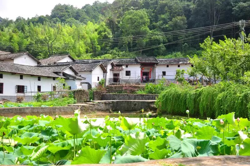 韶关曲江乳源诗友结袂自然游集诗三十首