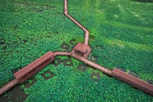 吴县撤市设区文件、80年代结婚证……相城那些陈年往事首度“曝光”