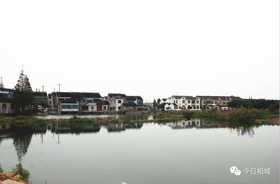 吴县撤市设区文件、80年代结婚证……相城那些陈年往事首度“曝光”