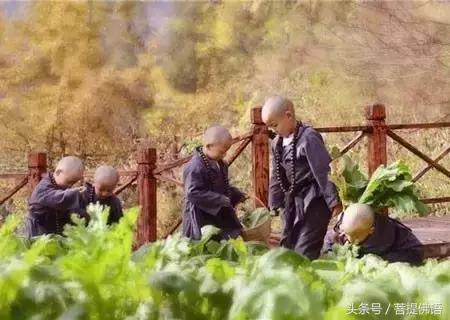 中国最美的寺图片,中国最美的寺庙列表汇编