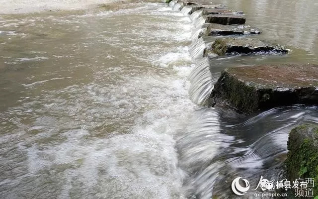 骞胯タ妯幙鑼夎帀鑺变埂瑙嗛,骞胯タ妯幙鑼夎帀鑺变埂