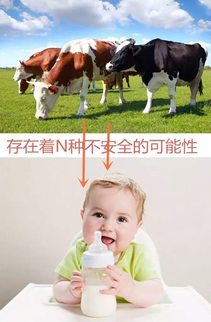 飞鹤茁然是鲜奶源还是还原奶,还原奶和鲜奶生产的奶粉区别大吗