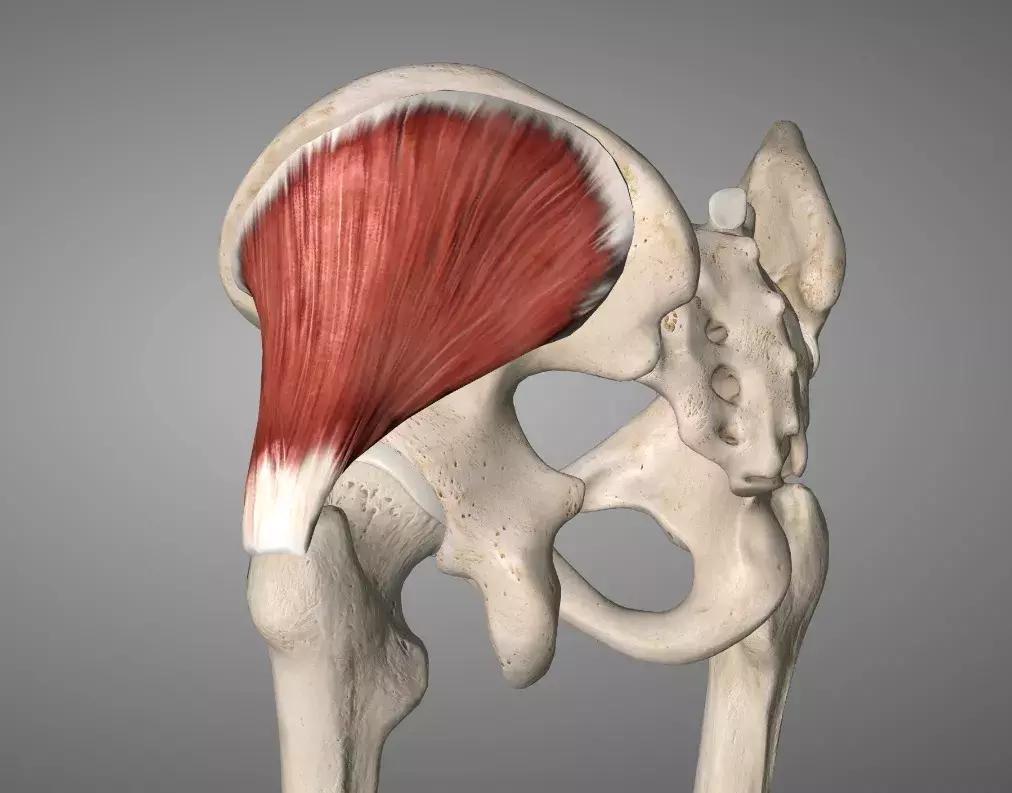 跑者膝内侧疼,跑者膝痛的原因有哪些