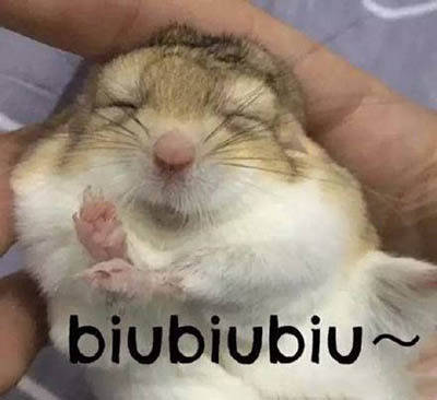 日本美白丸怎么选,日本雪白粒美白丸测评