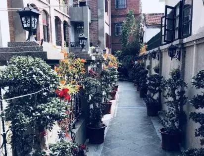 鼓浪屿游玩全攻略，以后别再说去鼓浪屿不知道怎么玩（建议收藏）