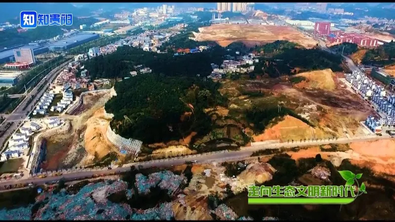 “百山治理”之后，我市这些山体都披上了绿装，有你常见到的吗？