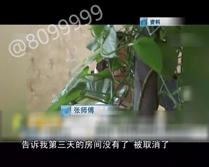 “去哪儿”有猫腻？8099999调查真相