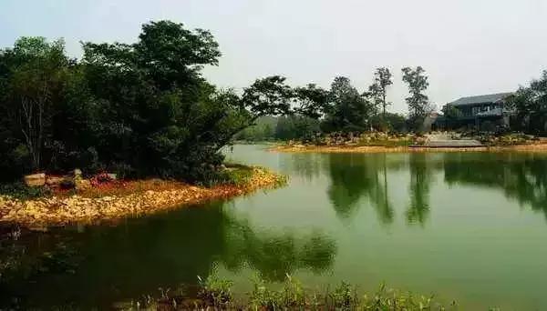 徐州下一站,徐州下一轮拆迁范围