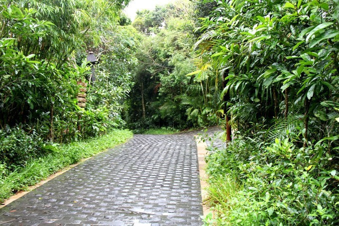 一个人带娃三亚四天亲子游攻略,带孩子三亚旅游全攻略