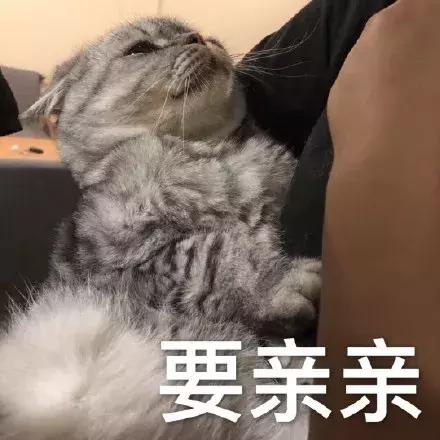 女人必买的10大支粉底液,天价好用的粉底液