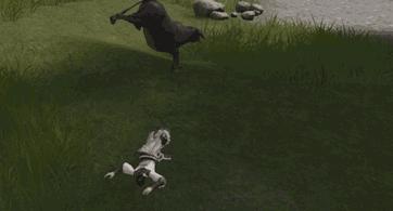 3d画面感好的仙侠手游有哪些,最新3d仙侠类手游排行榜前十名