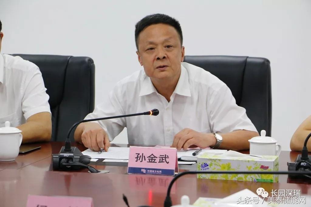 长园深瑞储能柜,长园深瑞储能项目