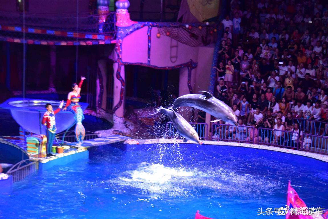 大连，我租辆B级车游山，1.5T、248元值不？