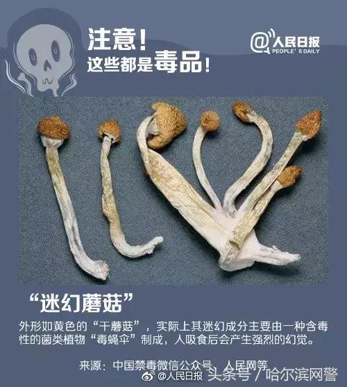 新型变异毒株到底有多危险,警方提醒新型毒品