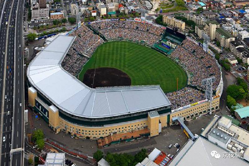 沸腾的青春｜逐梦甲子园：高中生棒球联赛