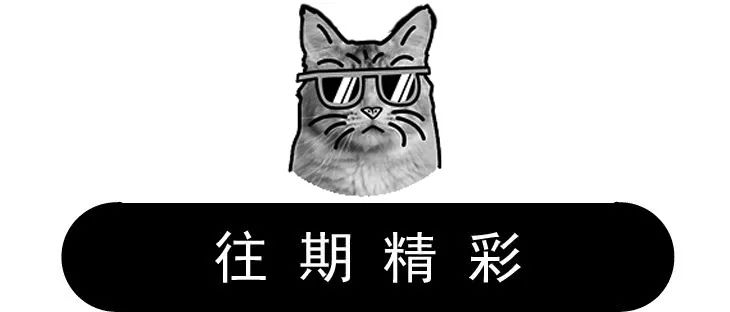 维密超模猫咪,维密秀猫咪