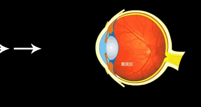 natureswaydha好吗,naturesway婴幼儿益生菌怎么样